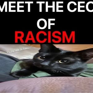 Meet your Posher, Guillermo